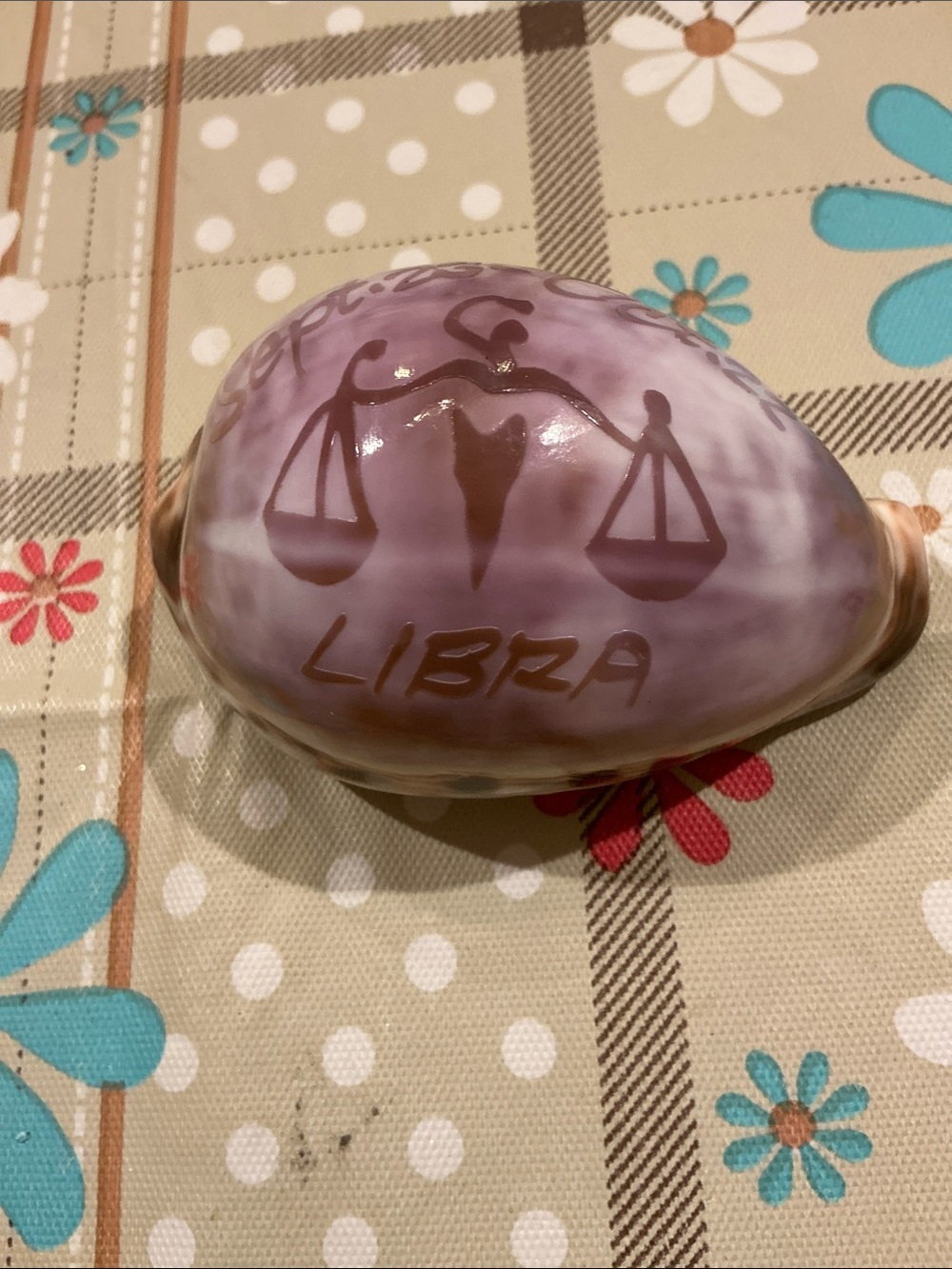 Libra Decorative Shell Accent - Picture 4 of 5